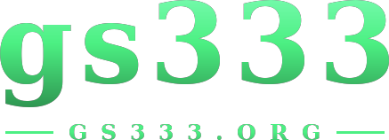 gs333 logo